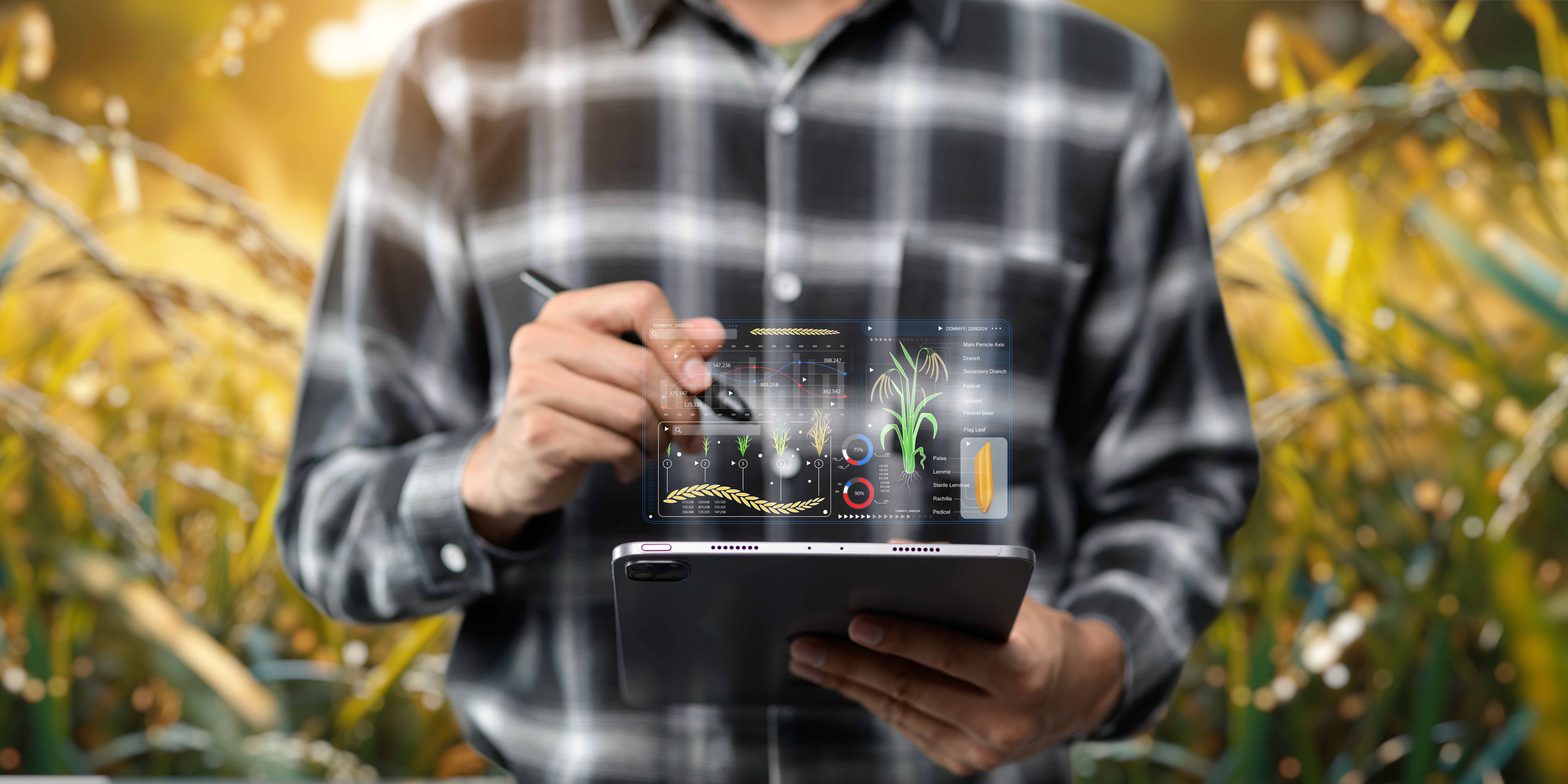 Возможности и ограничения на землях ЛПХ